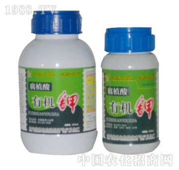 G-ЙC(j)500ml