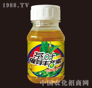 G-~ѿSa(chn)200ml