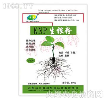 KNP500g-ƺ(lin)