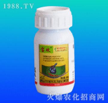 12%׾Sx(chng)Ҹ20g-