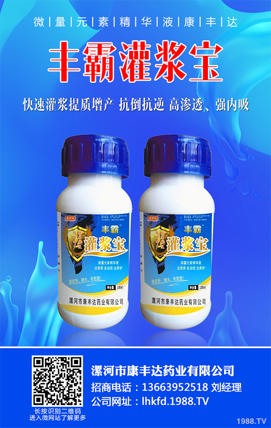 白菜黑斑病有哪些危害癥狀？白菜黑斑病的發(fā)生與防治