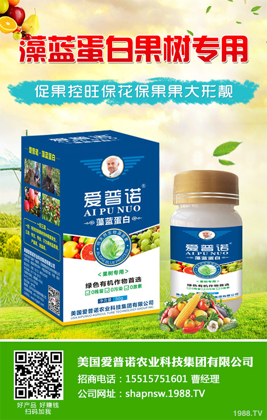 白菜黑斑病有哪些危害癥狀？白菜黑斑病的發(fā)生與防治