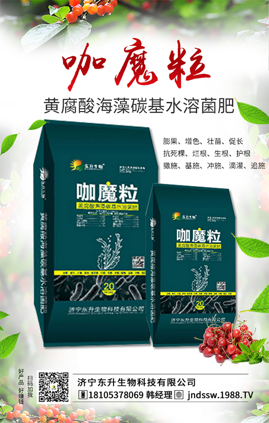 大棚草莓旺長的原因，大棚草莓旺長解決措施