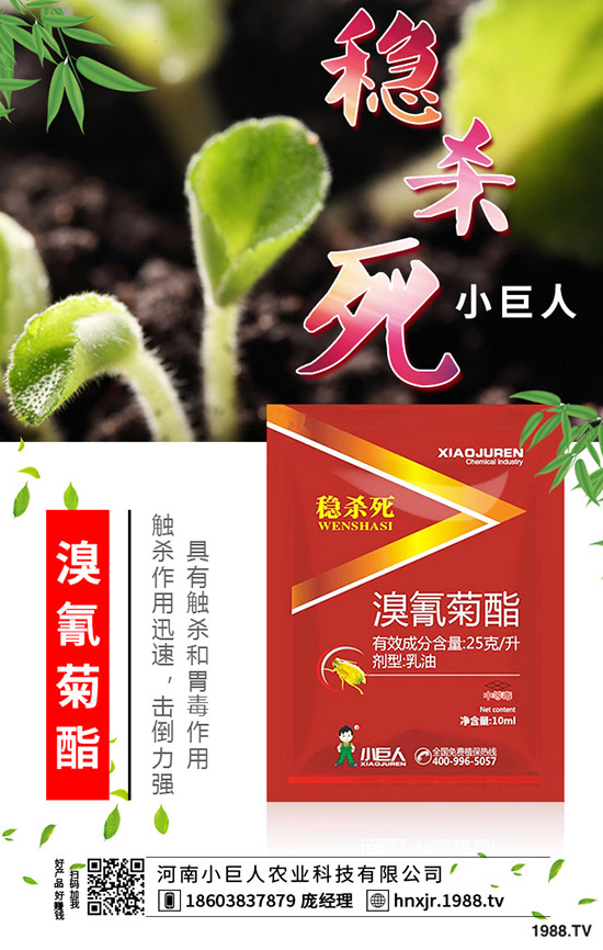 吃苦瓜對(duì)人體有什么好處？苦瓜的功效與作用有哪些？