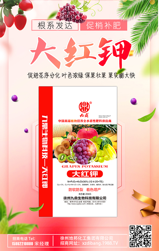 豆芽種植技術(shù)要點(diǎn)有哪些？豆芽有哪些功效作用？