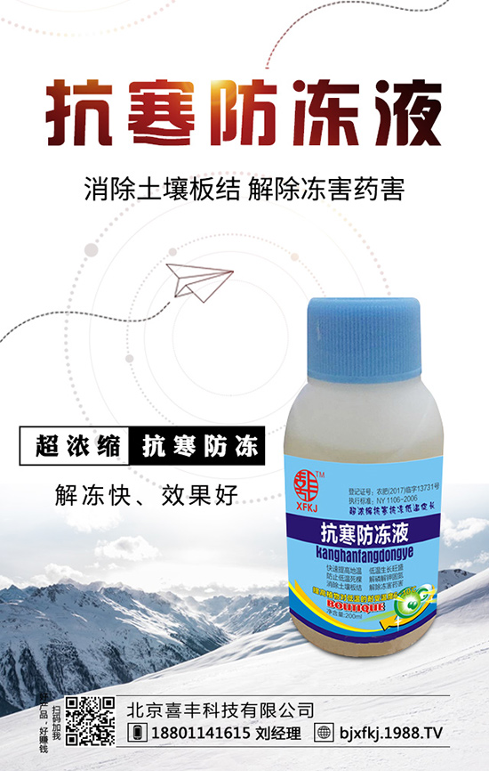 種植一畝地油麥菜一年收益多少？油麥菜種植成本及效益！