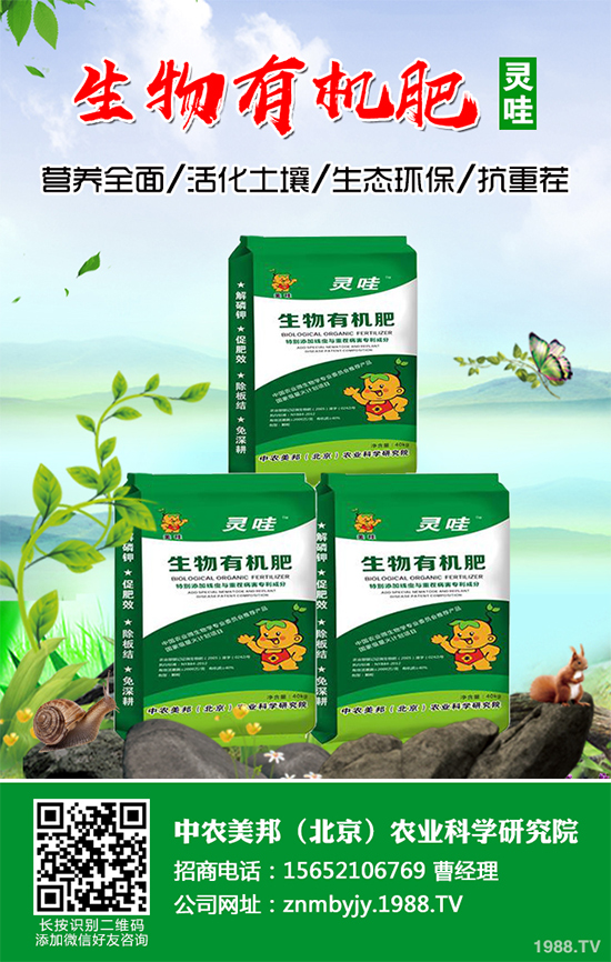 越冬蔬菜種植該注意什么？越冬蔬菜高產(chǎn)種植技術及注意事項