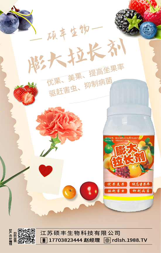 大棚西芹怎么種植？西芹的種植環(huán)境要求！