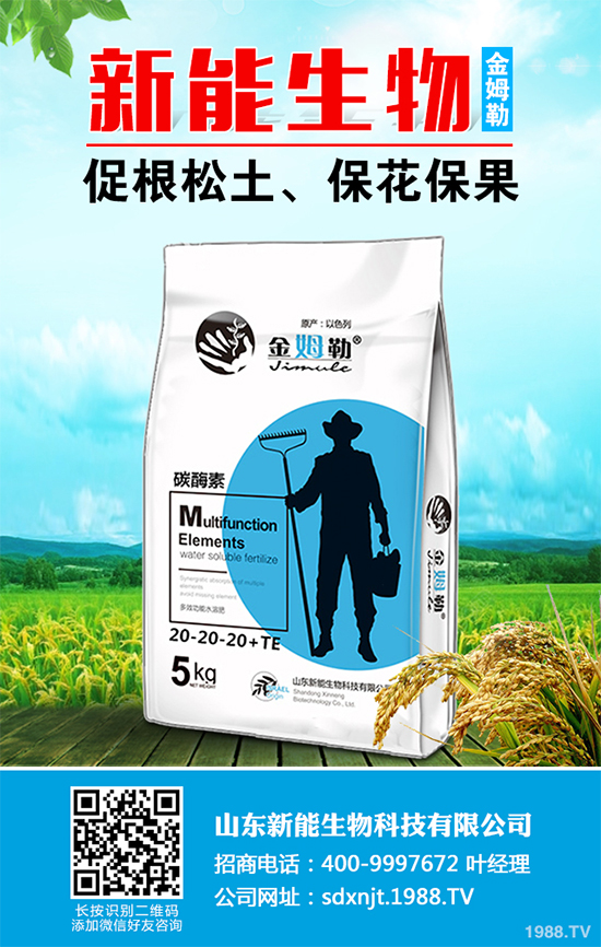 新型植物生長調(diào)節(jié)劑調(diào)環(huán)酸鈣 三唑類延緩劑的理想替代藥劑