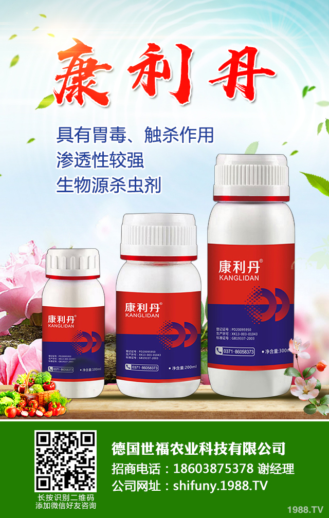 怎樣防治玉樹花病蟲害？玉樹花病蟲害防治技巧