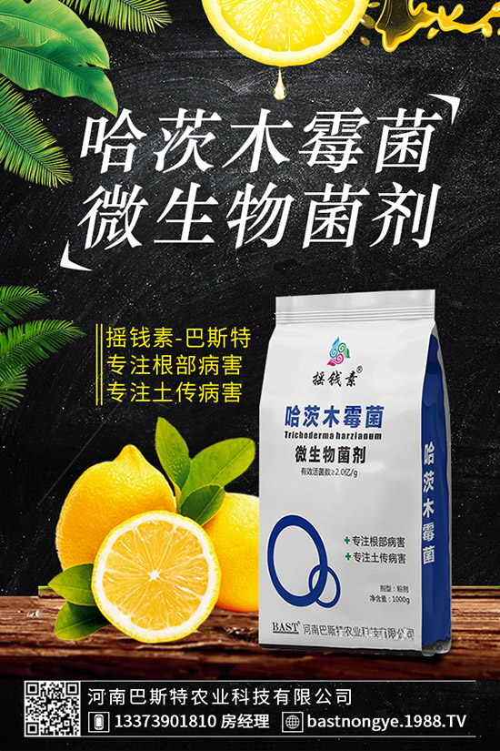 虎皮蘭爛根怎么辦，虎皮蘭爛根的防治措施！