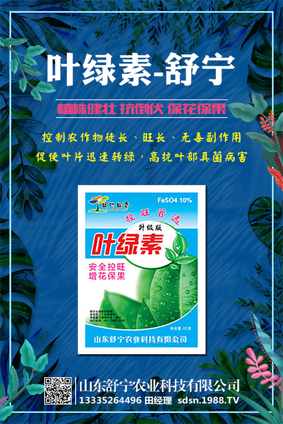 柿子怎么種植？種植柿子的注意事項有哪些？