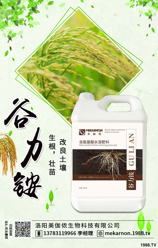 茼蒿該怎么播種？茼蒿高產(chǎn)種植管理方案