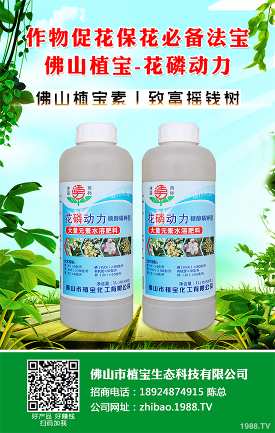 茼蒿葉斑病危害這么大，到底該如何防治？茼蒿葉斑病防治措施