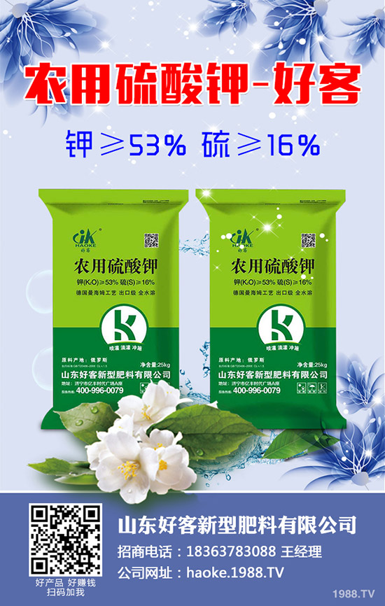 黃瓜什么時候種植？黃瓜高產種植技術有哪些？