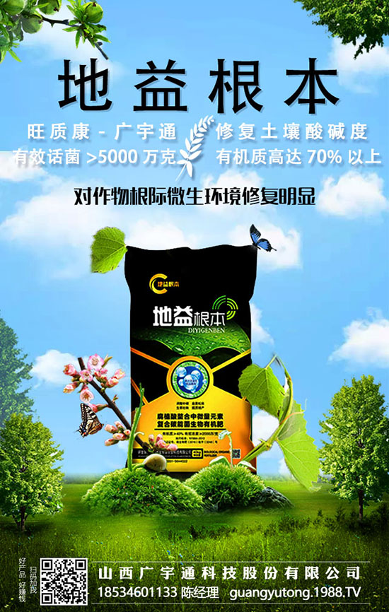 上海青的6大種植方法，增產(chǎn)增收不再愁