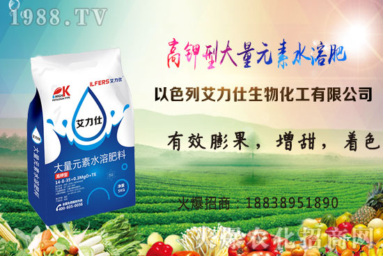 馬鈴薯晚疫病危害有哪些？打什么藥好？馬鈴薯晚疫病防治技術(shù)！