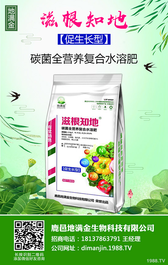 馬鈴薯種植怎么能高產(chǎn)？馬鈴薯栽培小技巧！