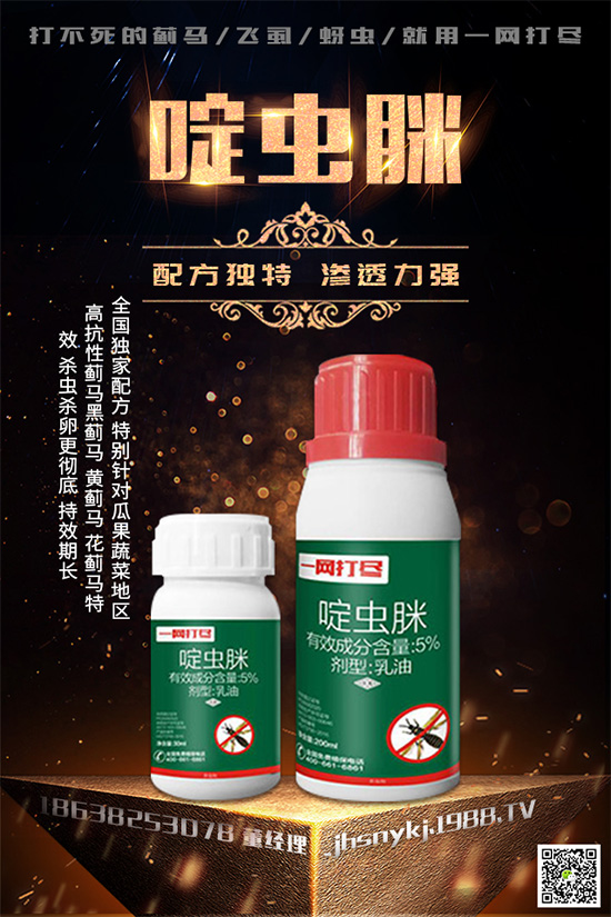 白粉虱對(duì)辣椒有什么危害？辣椒白粉虱怎樣防治好？