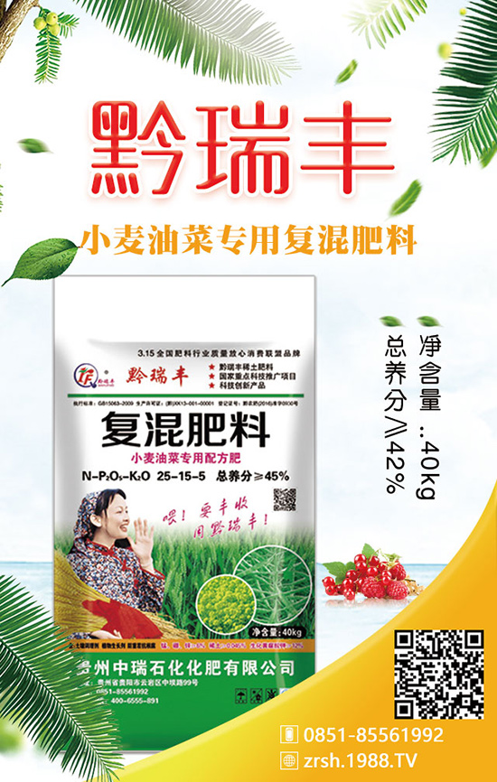 如何種植春季白菜？科學(xué)方法有哪些？