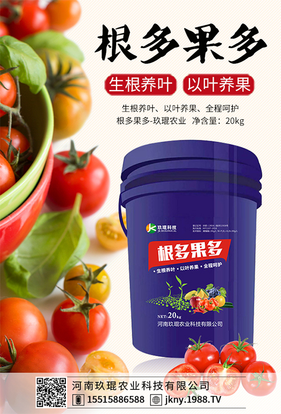 大棚韭菜該怎么種植？韭菜大棚管理技術要點