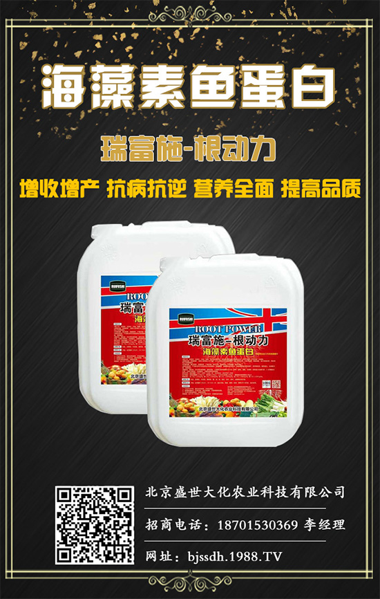 土茯苓是什么植物？土茯苓的功效與作用有哪些？