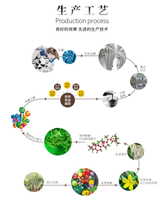 綠葉膨果增產(chǎn)型功能型肥料-棵牛-巴斯特_09