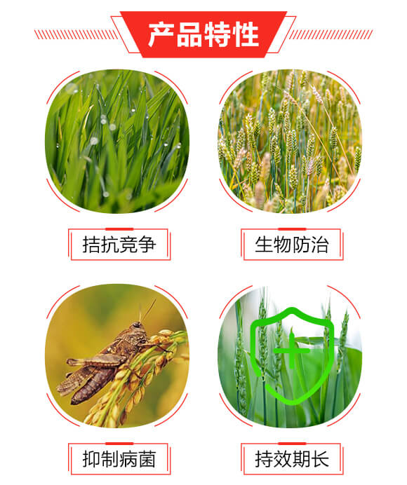 20g枯草芽孢桿菌（袋裝）-細(xì)護(hù)士-寶豐農(nóng)藥_03