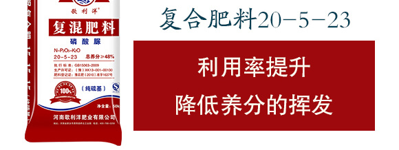 復(fù)混肥料（純硫基）20-5-23-歌利洋_04