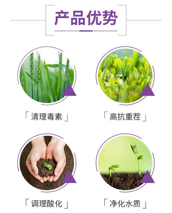 枯草芽孢桿菌-菌巴-土巴克_03