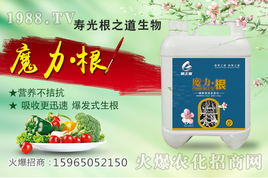 要想作物好，根系更重要！壽光根之道怎么樣？有哪些爆款產(chǎn)品？