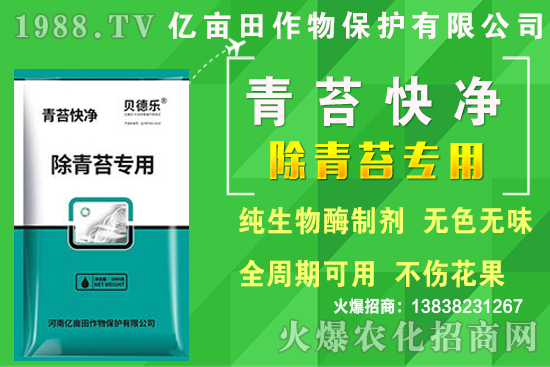 2020年種植哪些蔬菜更賺錢？熱門蔬菜種植項目推薦！