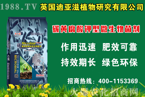 蛇瓜什么時候種比較好，蛇瓜栽培技術要點！