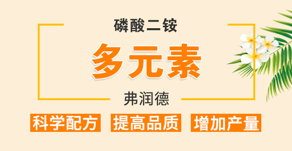 硼鋅型滴灌二銨18-46-0+TE-摩綠豐-康恩特_01