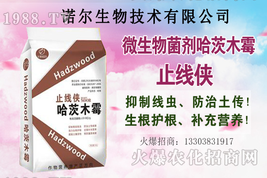 秋季果樹施肥有多重要？秋季果樹施肥常犯的7個錯誤！