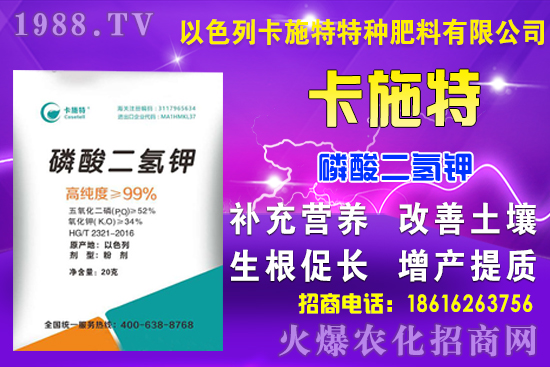 今日糧價(jià): 9月7日小麥?zhǔn)袌?chǎng)行情預(yù)測(cè)！