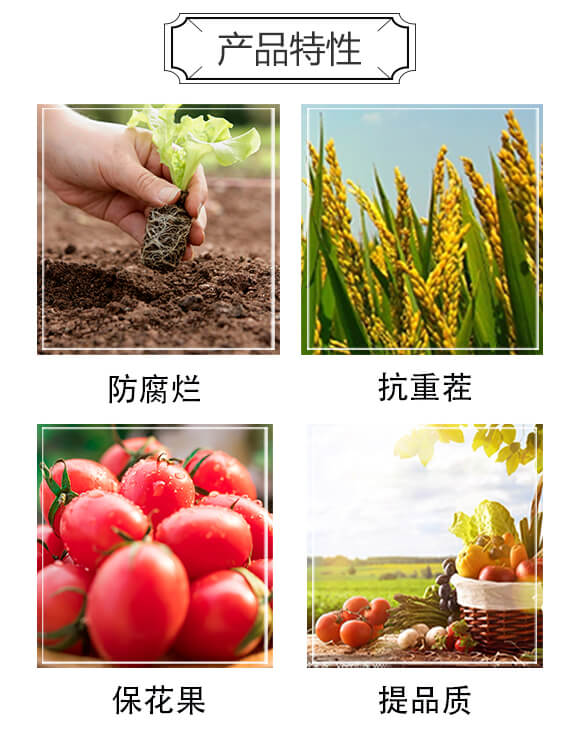 含生物菌腐植酸水溶肥料-21菌-科達(dá)農(nóng)化_02