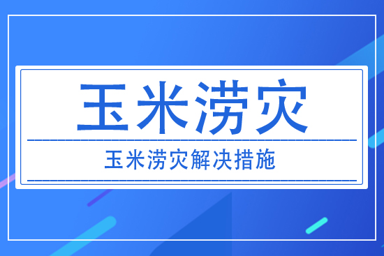 澇災對玉米產(chǎn)量有什么影響？玉米澇災采取措施解決？