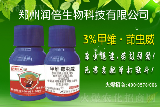 8.4億畝次！玉米中后期病蟲害預(yù)計偏重發(fā)生