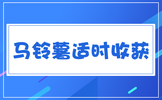 馬鈴薯收獲