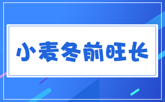 小麥冬前旺長(zhǎng)