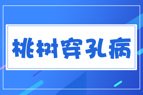 桃樹穿孔病