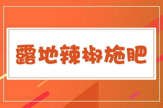 露地辣椒施肥