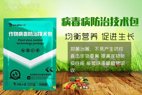 作物發(fā)生病毒病，危害重、難根治怎么辦？這些方法要牢記！