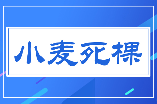 小麥死棵