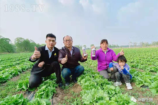 玉米追肥復(fù)合肥好還是尿素好？很多人都錯了！它才是正確選擇