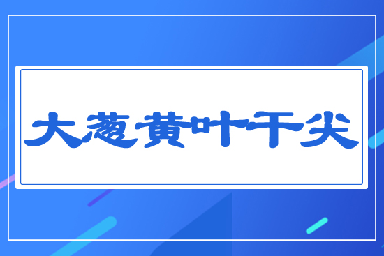 大蔥黃葉干尖