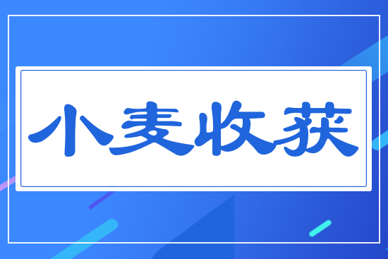 小麥?zhǔn)斋@