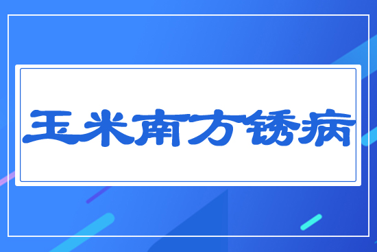 玉米南方銹病