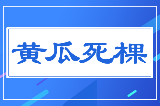 黃瓜死棵